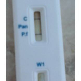 Malaria rapid diagnostic test research project